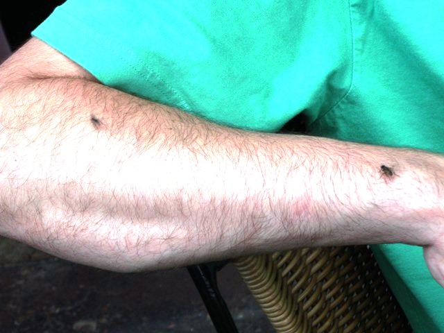 Vorstandsfahrt 151.jpg